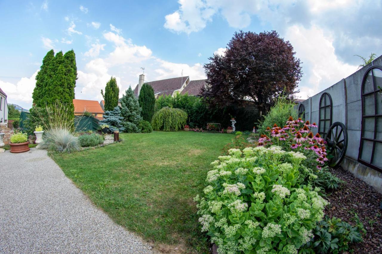 Penzion Holacky Dolní Dunajovice Dış mekan fotoğraf